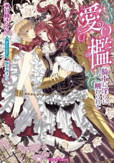 Copertina di Ai no Ori: Kishi ni Midara ni Furerarete