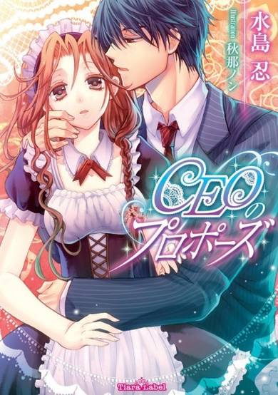 Copertina di CEO no Proposal