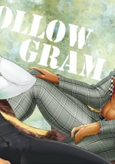 Copertina di Hollow Gram