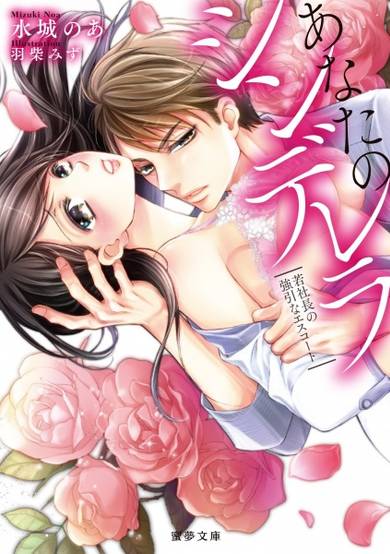 Copertina di Anata no Cinderella: Wakashachou no Gouin na Escort
