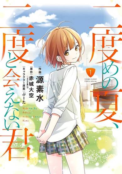 Copertina di Second Summer, Never See You Again