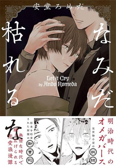 Copertina di Namida Kareruna
