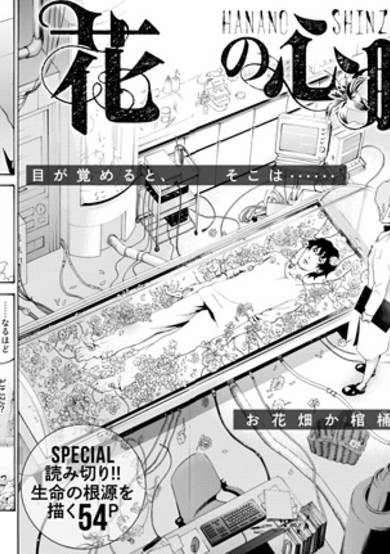 Copertina di Hana no Shinzou