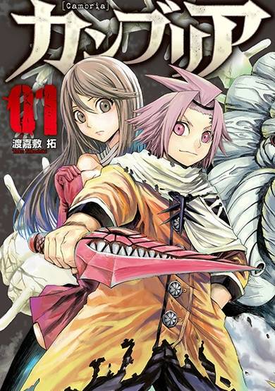 Copertina di Cambria