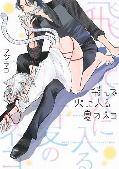 Copertina di Tonde Hi ni Iru Natsu no Neko