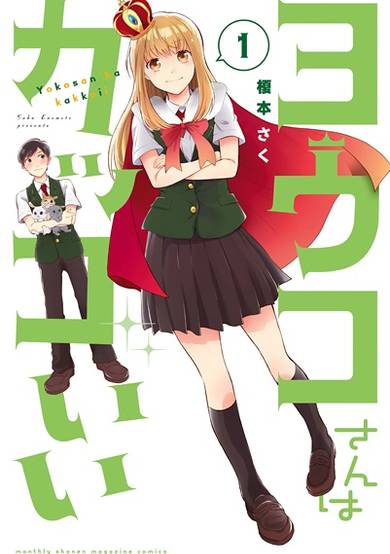 Copertina di Youko-san wa Kakkoii