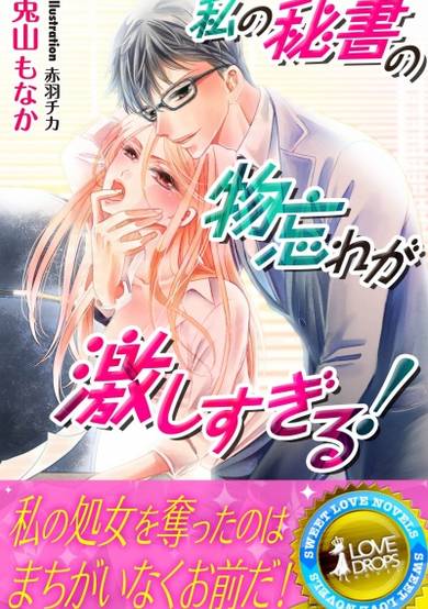 Copertina di Watashi no Hisho no Monowasure ga Hageshi Sugiru!