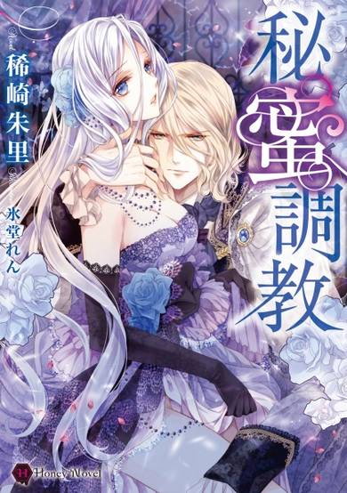 Copertina di Himitsu Choukyou