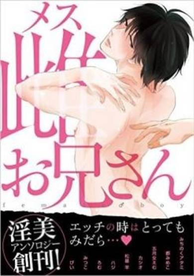 Copertina di Mesu Oniisan Anthology
