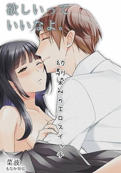 Copertina di Hoshii tte Ii na yo.: Osananajimi no Ero Switch