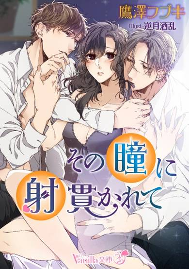 Copertina di Sono Hitomi ni Inukarete