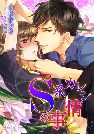Copertina di S-kei Kareshi no Jijou