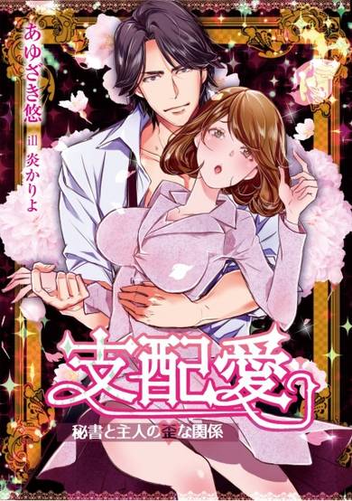 Copertina di Shihaiai: Hisho to Shujin no Ibitsu na Kankei