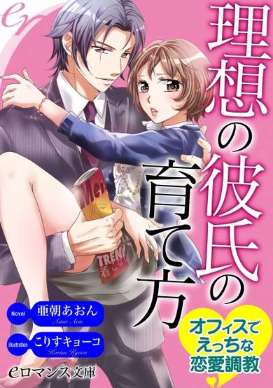 Copertina di Risou no Kareshi no Sodatekata: Office de Ecchi na Renai Choukyou