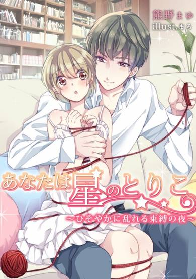 Copertina di Anata wa Hoshi no Toriko: Hisoyaka ni Midareru Sokubaku no Yoru