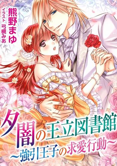 Copertina di Yuuyami no Ouritsu Toshokan: Gouin Ouji no Kyuuai Koudou