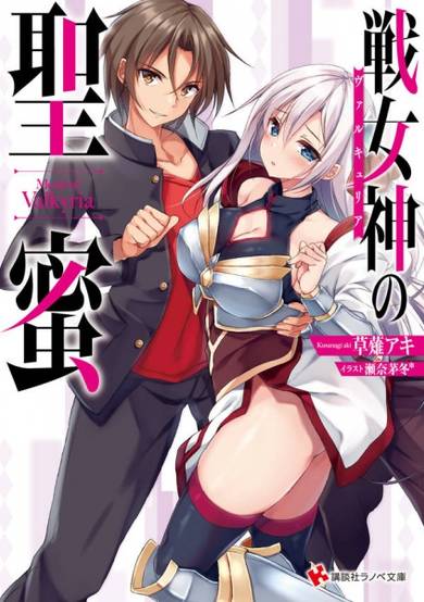 Copertina di Valkyria no Seimitsu