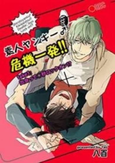 Copertina di Shirouto Yankee Kikiippatsu!!