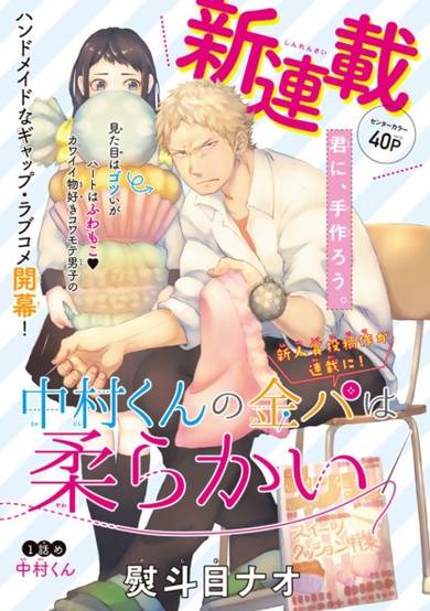 Copertina di Fluffy Punk, Nakamura-kun