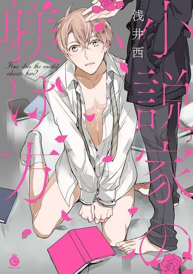 Copertina di How does the novelist educate him?