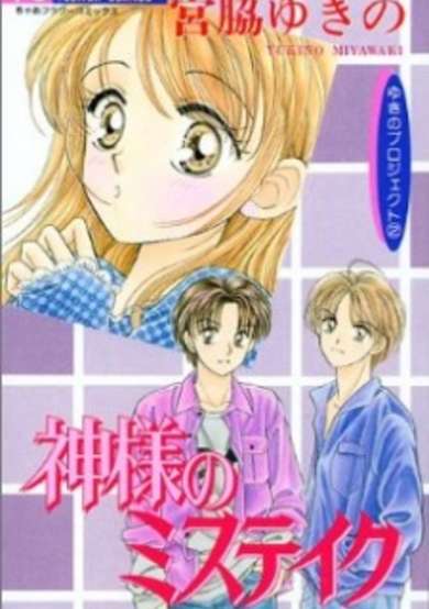 Copertina di Snow Project