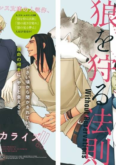 Copertina di Ookami wo Karu Housoku