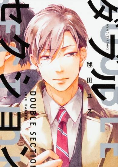 Copertina di Double Section
