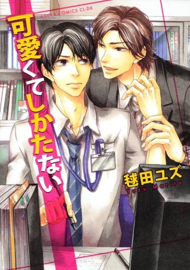 Copertina di Kawaikute Shikatanai