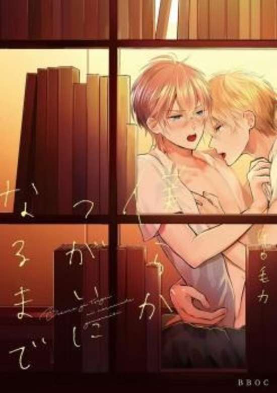 Bokura ga Tsugai ni Naru Made