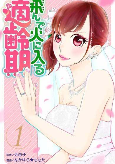 Copertina di Tonde Hi ni Iru Tekireiki