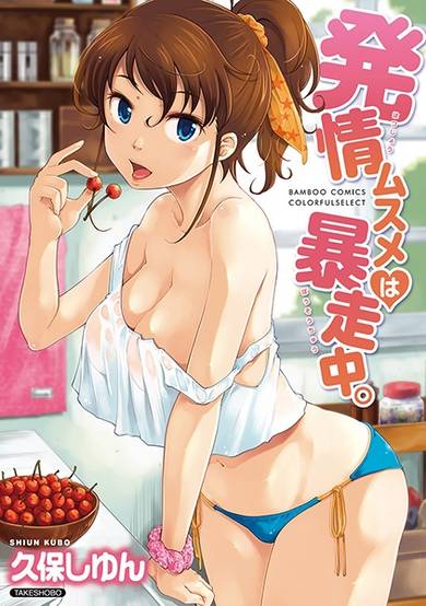 Copertina di Hatsujou Musume wa Bousouchuu.
