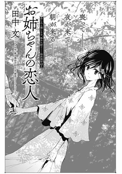 Copertina di Oneechan no Koibito