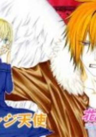 Copertina di Orange Angel