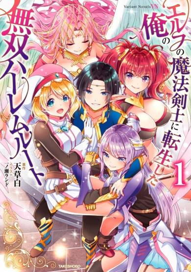 Copertina di Elf no Mahou Kenshi ni Tensei shita Ore no Musou Harem Route