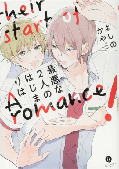 Copertina di Their Start of A Romance