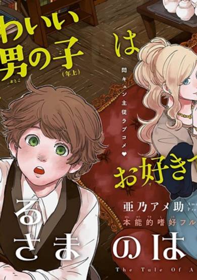 Copertina di Toaru Ohimesama no Hanashi