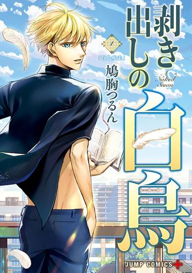 Copertina di A Naked Swan