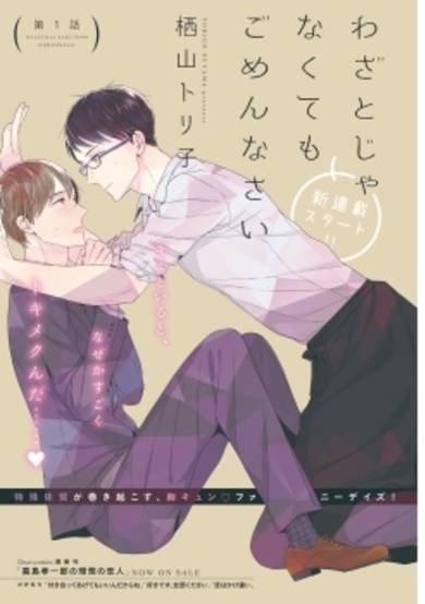 Copertina di Wazato Janakute mo Gomennasai