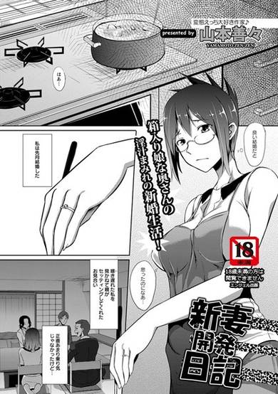 Copertina di Niīzuma Kaihatsu Nikki
