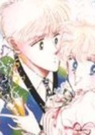 Copertina di Chocolate Christmas