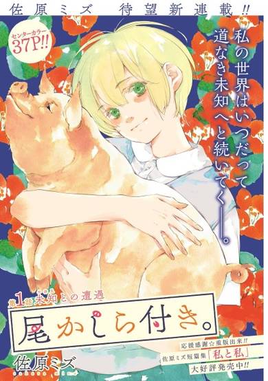 Copertina di Okashiratsuki.