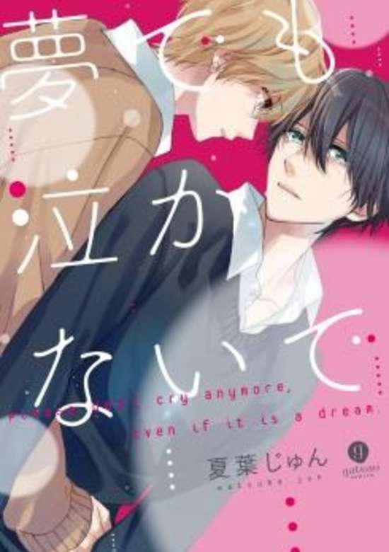 Copertina di please don't cry anymore, even if it is a dream.