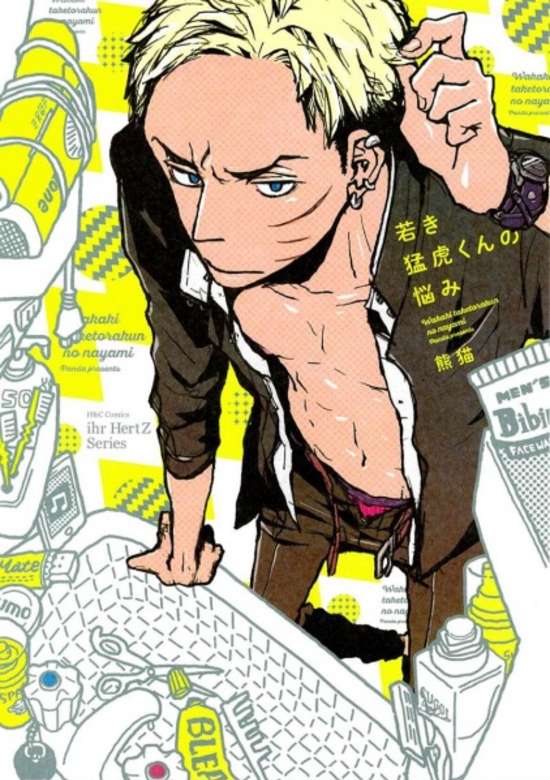 Copertina di Wakaki Taketora-kun no Nayami