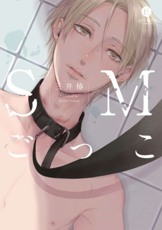 Copertina di SM Gokko