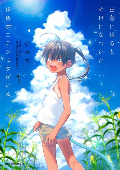Copertina di A Vacation With the Ponytailed Tanning Boy