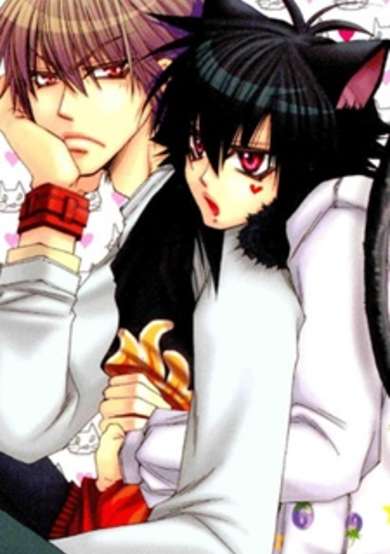 Copertina di Love Neco