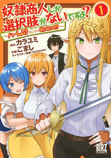 Copertina di Is There the Only Option is a Slave Merchants? ~ Harem? What is that, Is it tasty? ~