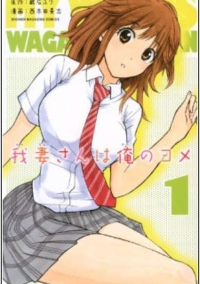 Copertina di My Wife Is Wagatsuma-san