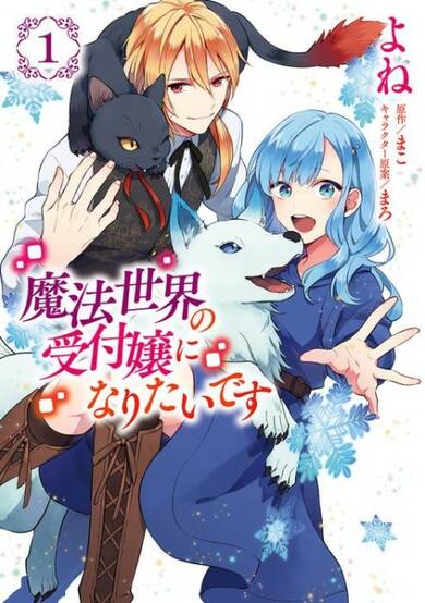 Copertina di The Sorcerer's Receptionist