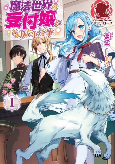 Copertina di The Sorcerer's Receptionist